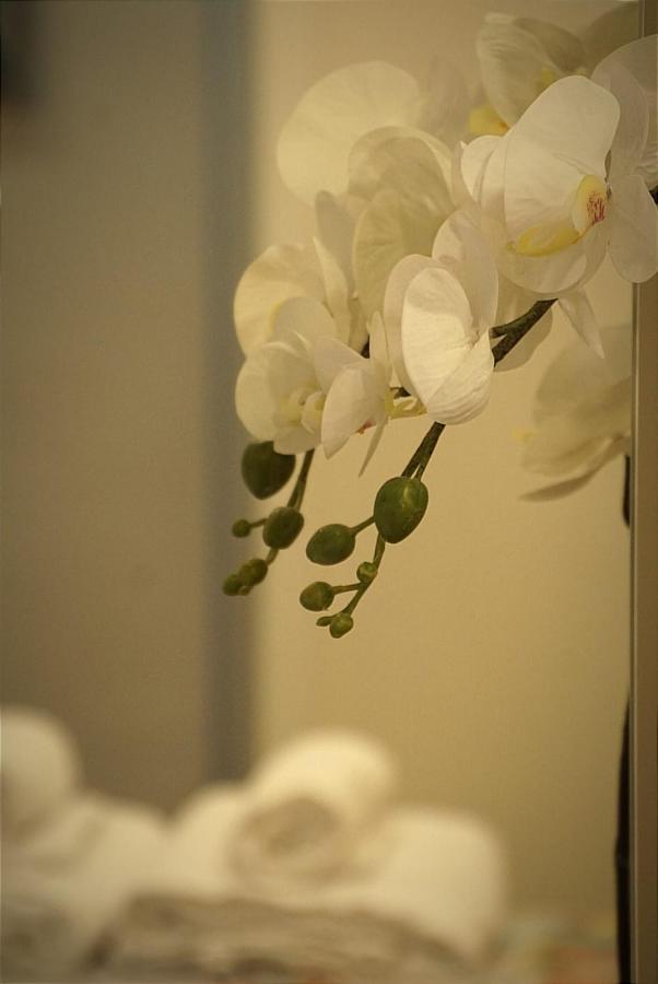 Paula Appartement Valladolid